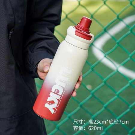Garrafa Sport bicolor (2)